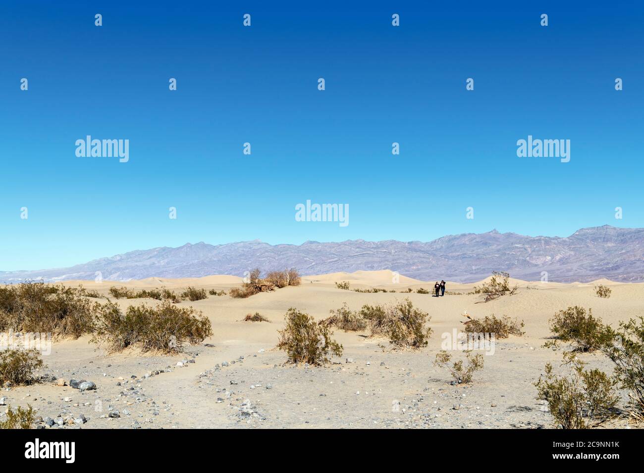 El Mesquite Flat Dunas de Arena, el Parque Nacional Valle de la Muerte, California, EE.UU. Foto de stock