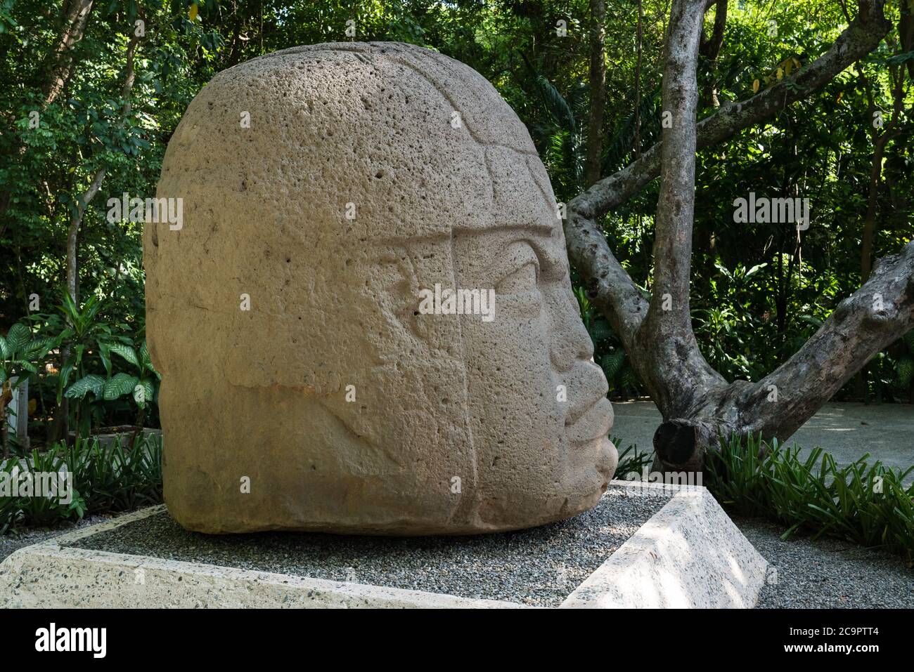 Una cabeza de piedra tallada gigante de las ruinas olmecas de la Venta
