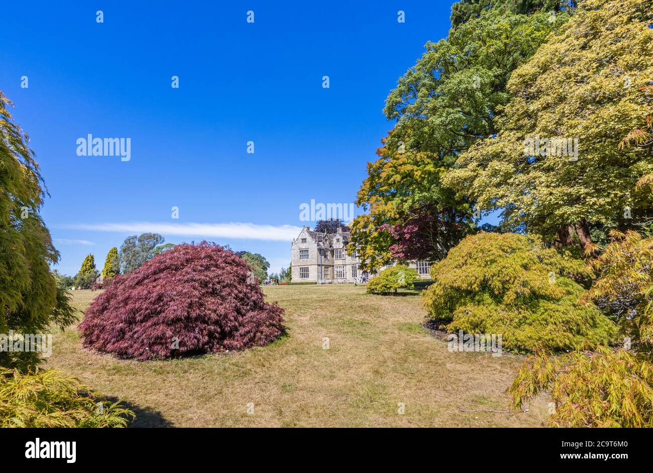 Wakehurst (anteriormente Wakehurst Place), una casa y jardines botánicos en West Sussex administrado por los Jardines Botánicos reales, Kew Foto de stock