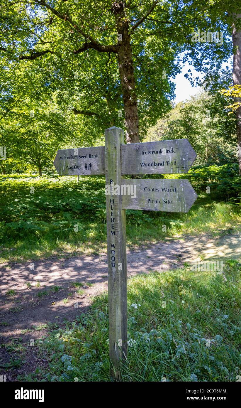 Guía de signpost a los lugares de interés en Wakehurst (Wakehurst Place), un jardín botánico en West Sussex administrado por los Jardines Botánicos reales, Kew Foto de stock