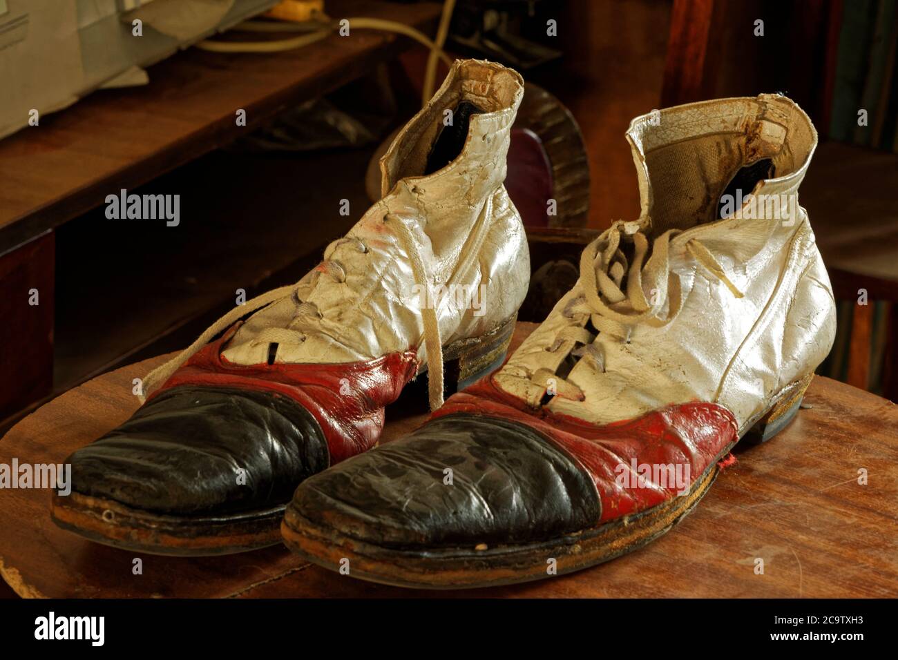 Zapatos del payaso imagen de archivo. Imagen de estudio - 13448075