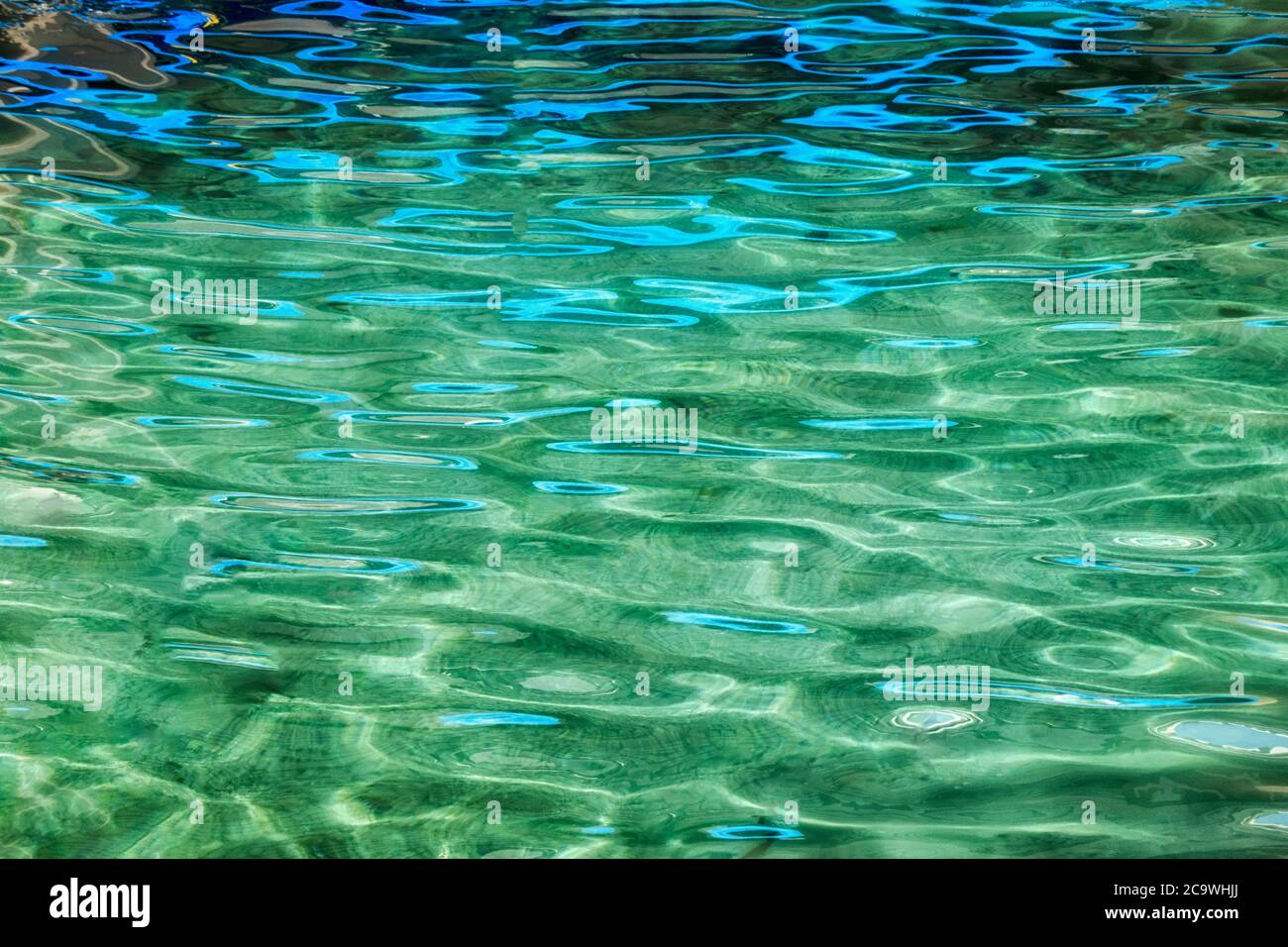 Reflejo azul en el estanque. Hawai Foto de stock