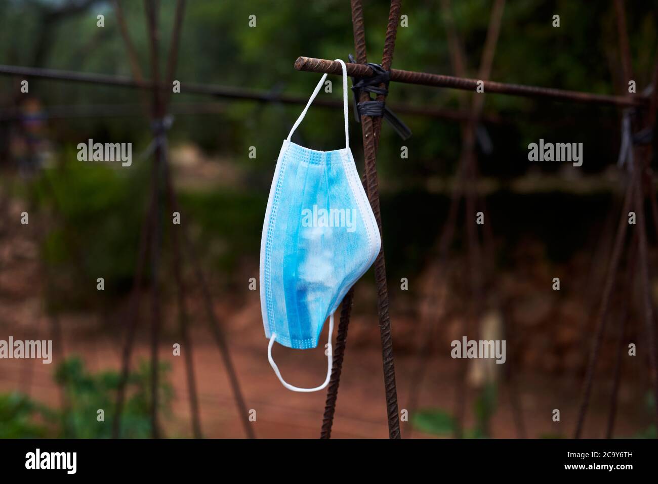 cierre de una máscara azul colgando del soporte oxidado por el cual las plantas de tomate y las plantas de frijol suben, en un huerto orgánico Foto de stock