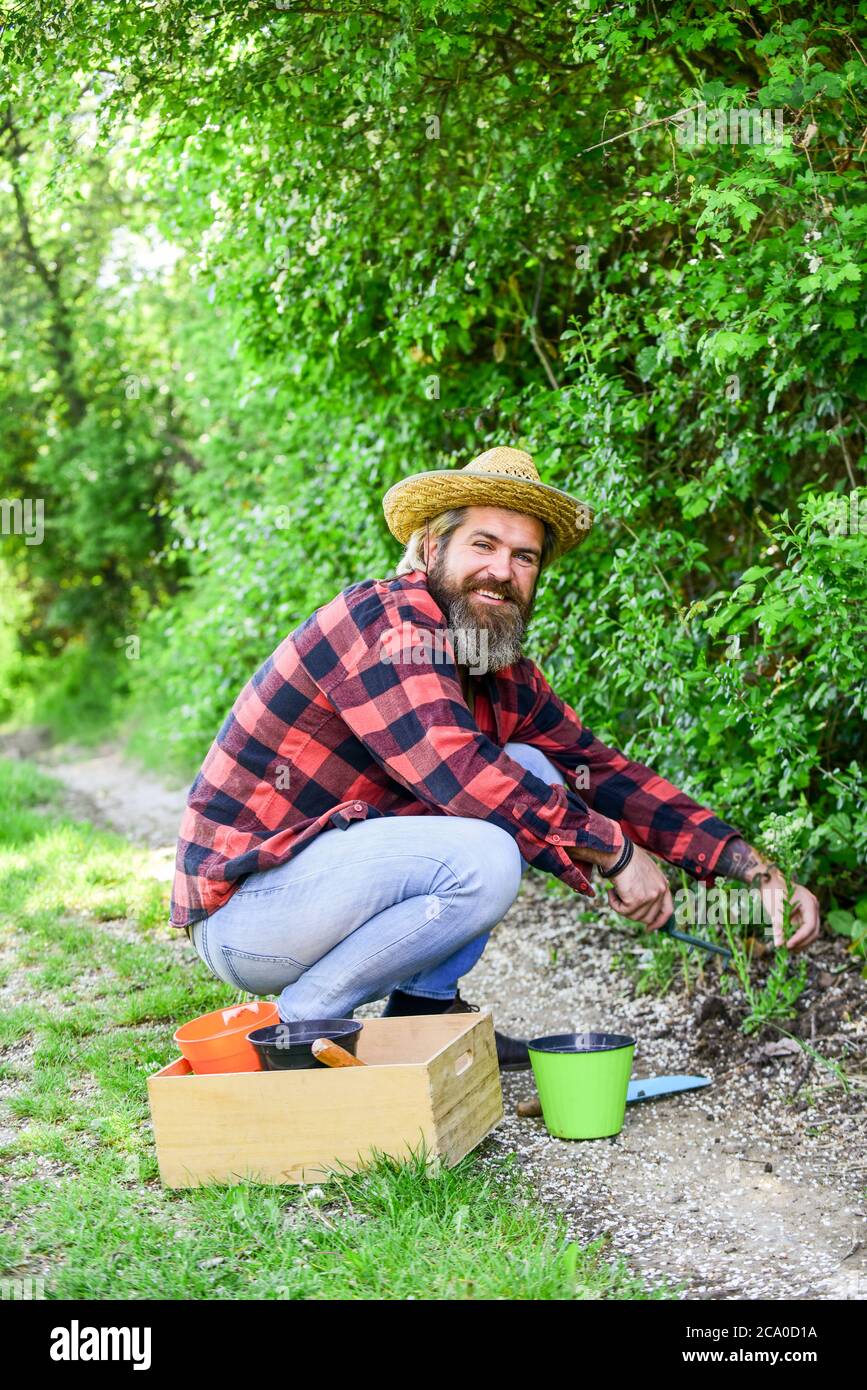Ama la naturaleza. Plantar árboles y arbustos. Día de la Tierra. Las
