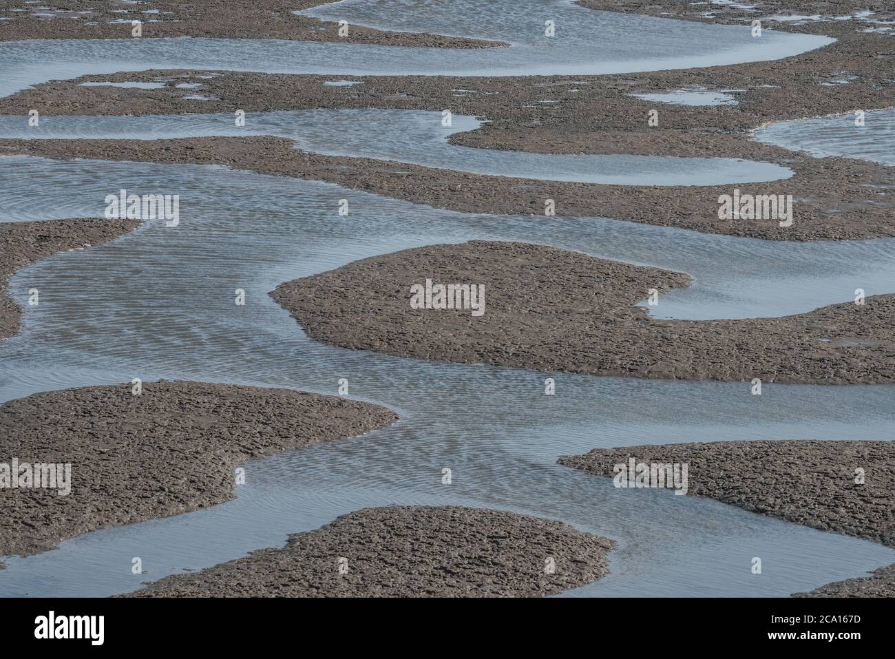 La marea baja en la costa nacional de Point Reyes revela las marismas y los rivuletos en drakes estero. Foto de stock