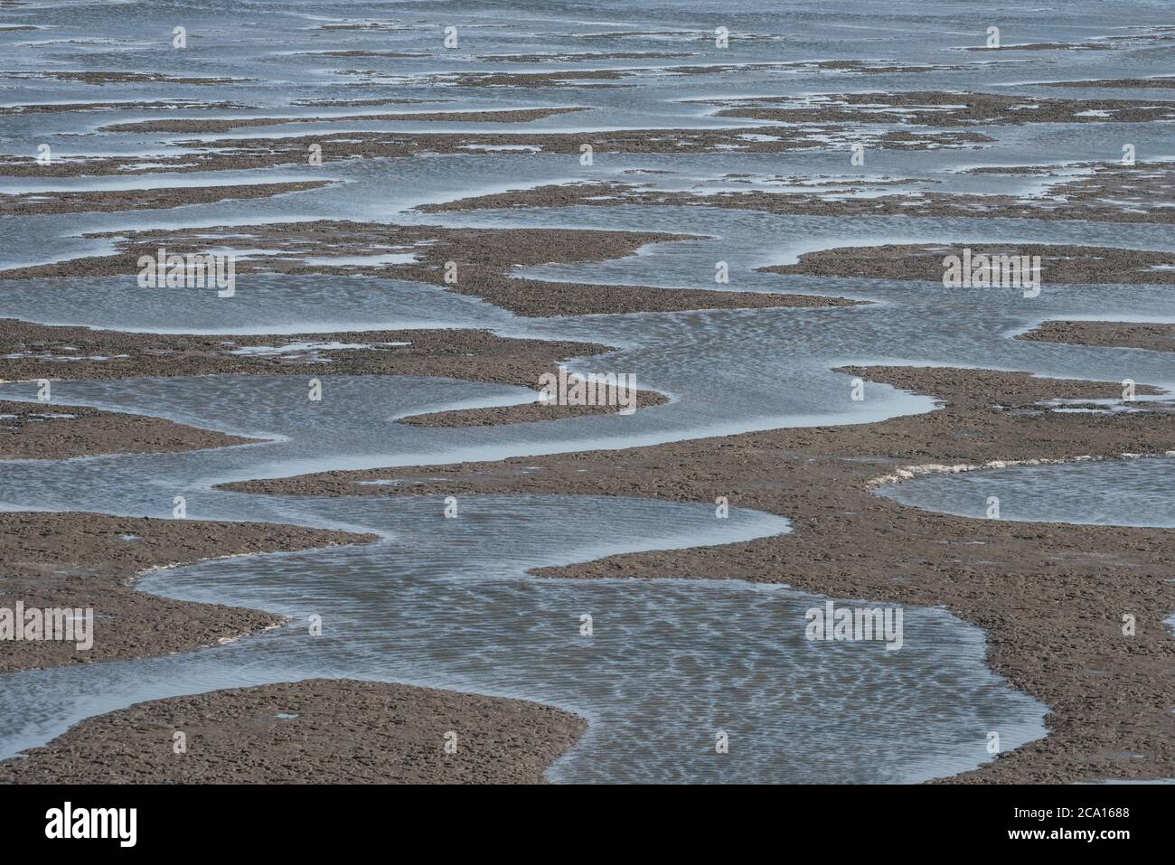 La marea baja en la costa nacional de Point Reyes revela las marismas y los rivuletos en drakes estero. Foto de stock