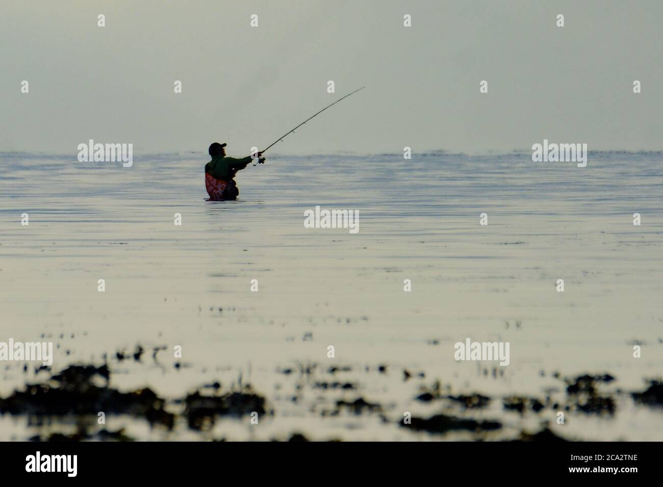 Worthing Beach, Worthing, Reino Unido. 4 de agosto de 2020. Un hombre de pie en el mar poco profundo, pescando en una mañana tranquila. Imagen de crédito: Julie Edwards/Alamy Live News Foto de stock