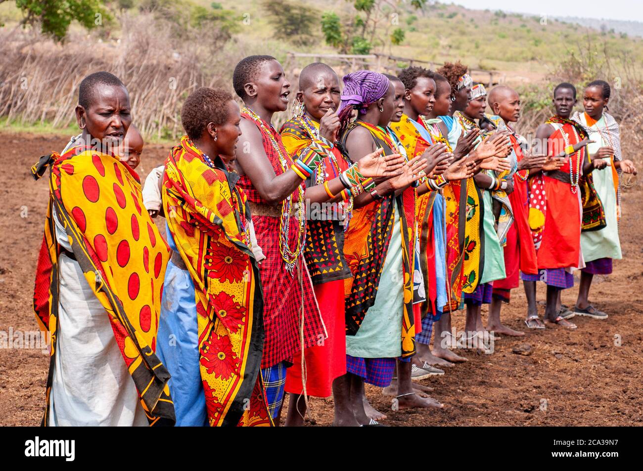 Las mujeres maasai visten ropa tradicional en una danza tradicional, en un pueblo maasai. Reserva Nacional Mara. Kenia. África Fotografía de stock - Alamy