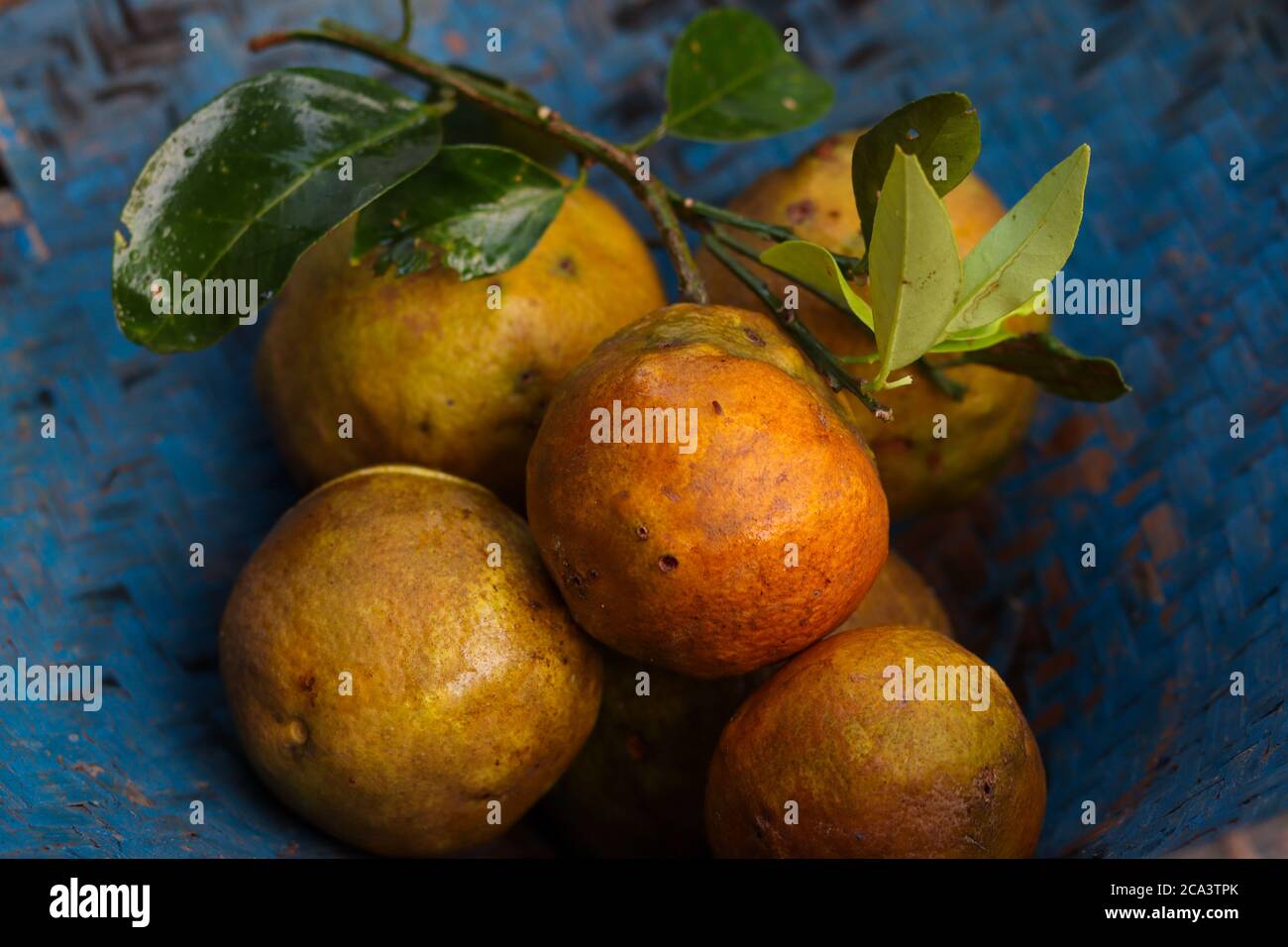 naranjas amarillas en una cesta con azul Foto de stock