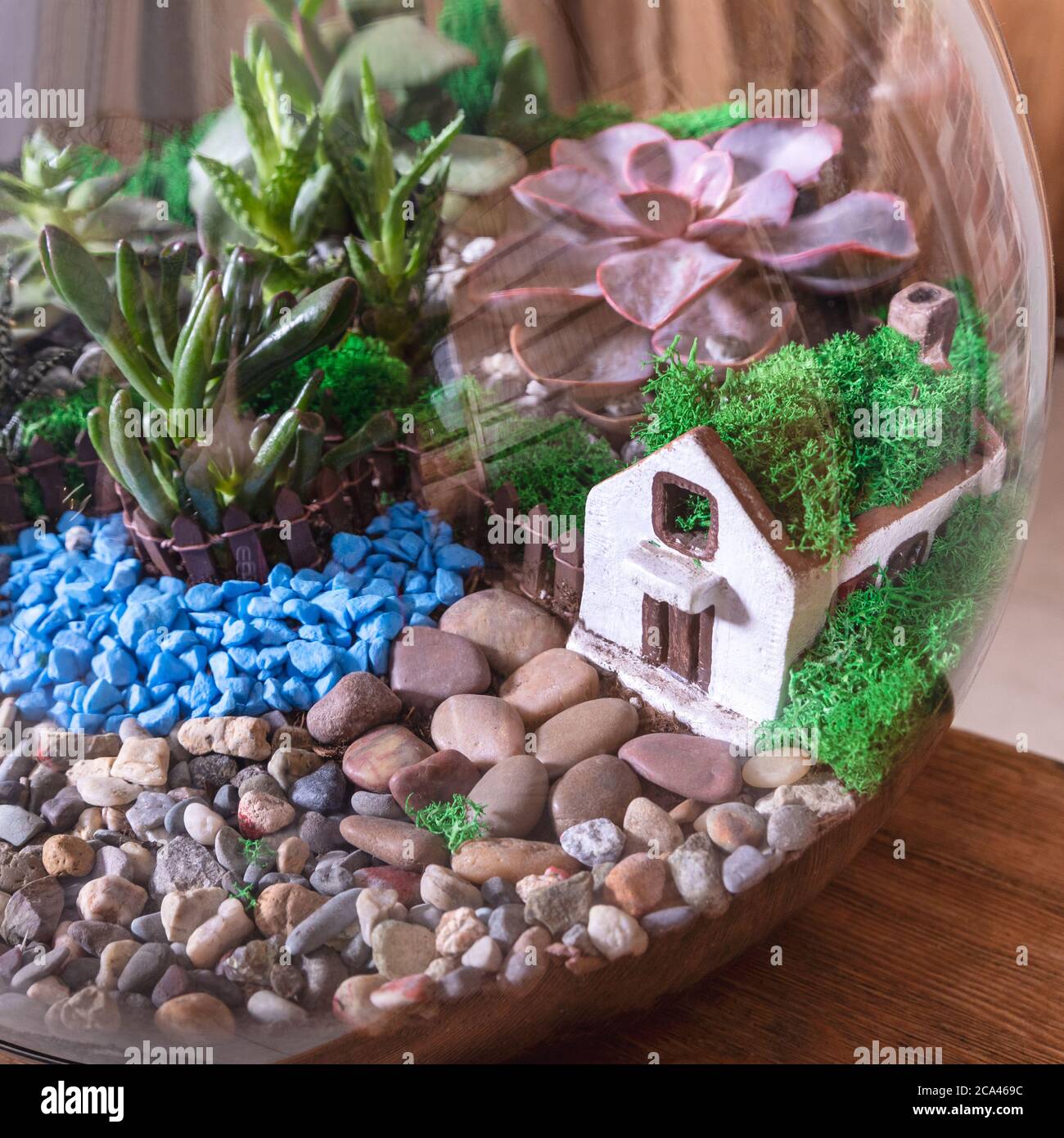 Terrario, arena, roca, suculento, cactus, decoración pequeña casa en el  vidrio Fotografía de stock - Alamy