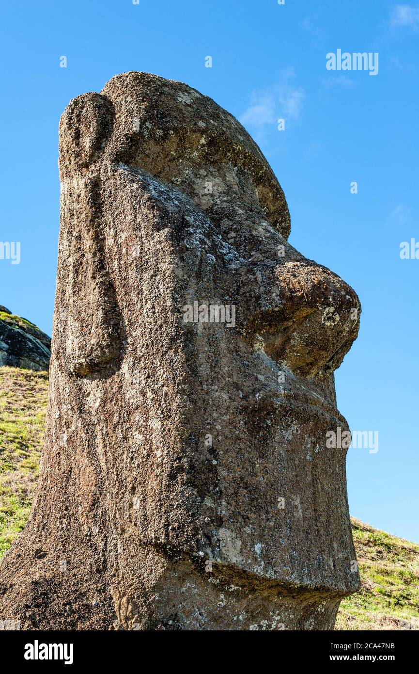 Moai en la ladera de un cráter volcánico llamado Rano Raraku en la Isla de Pascua en Chile. Foto de stock