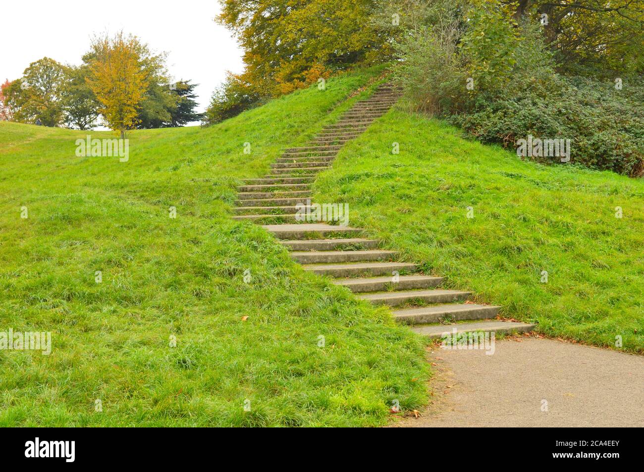 pasos cuesta arriba entre verdes prados en un parque Foto de stock