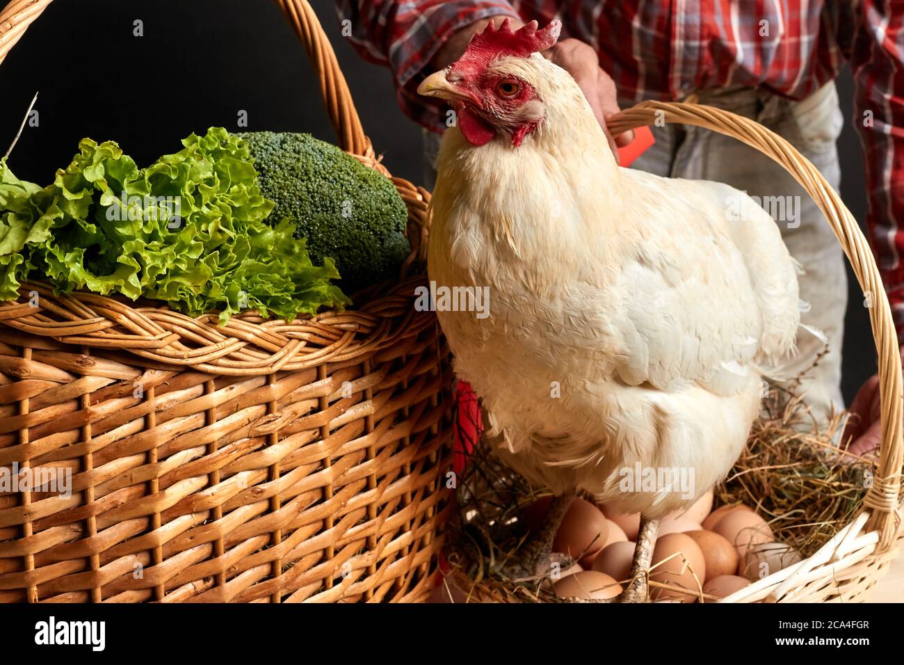 Huevos frescos de gallina. Stock Photo