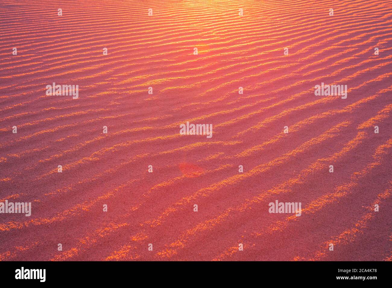 Patrón de arena en la cálida luz del sol de la noche Foto de stock