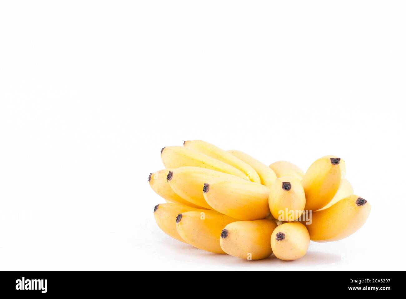Mano orgánica de plátanos dorados sobre fondo blanco sano Pisang Mas Banana fruta comida aislada Foto de stock