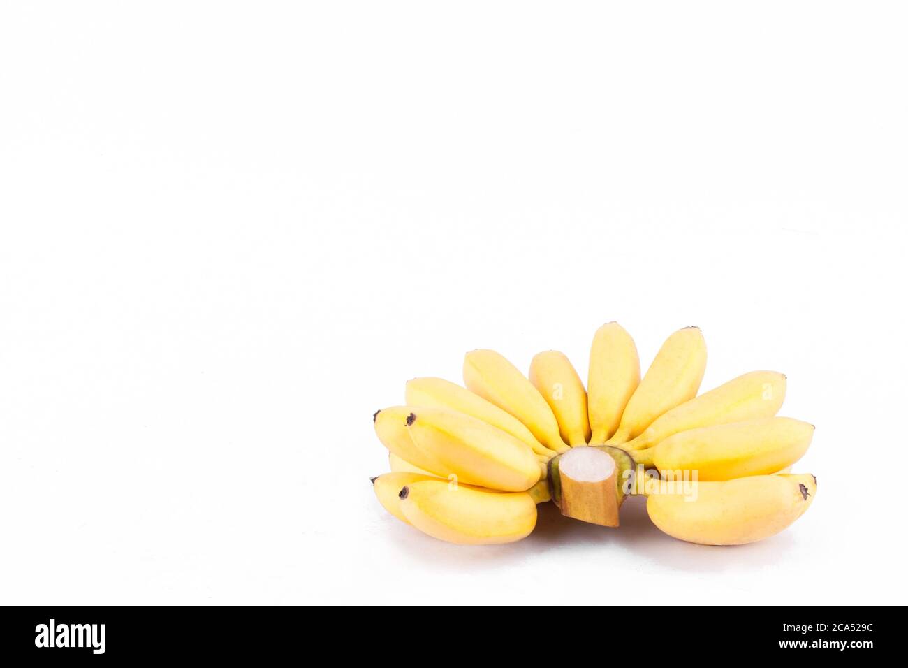 Mano fresca de plátanos dorados sobre fondo blanco sano Pisang Mas Banana fruta comida aislada Foto de stock