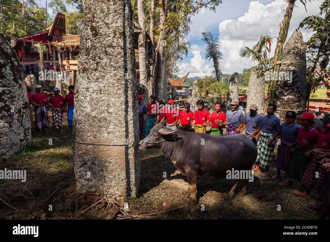 Archipiélago de celebes fotografías e imágenes de alta resolución - Página  10 - Alamy