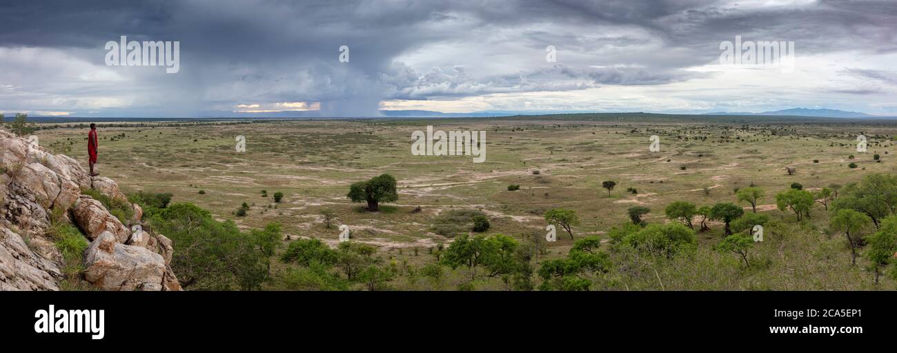 Tanzania, Randilen, WMA (Área de Manejo de vida Silvestre), un Massai en la cima del acantilado, observa el horizonte, una tormenta está llegando Foto de stock