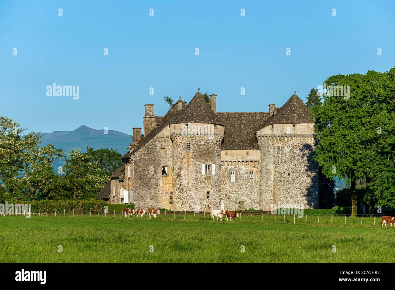 Francia Cantal Ally Chateau De La Vigne Volcanes Del Parque Natural