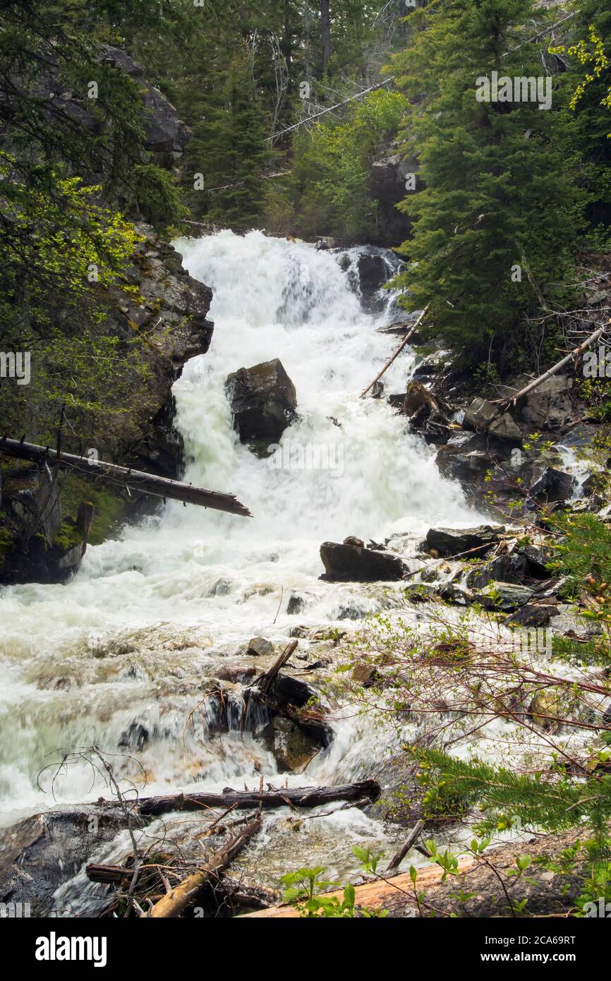 América del Norte; Estados Unidos; Montana; Lost Creek Falls; Verano Foto de stock
