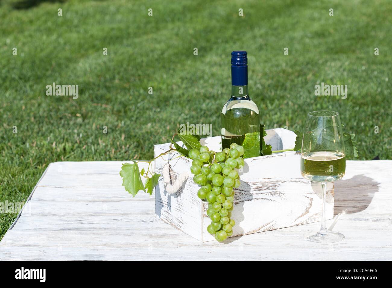 Vino blanco sobre mesa de madera blanca vintage con césped verde sobre fondo Foto de stock