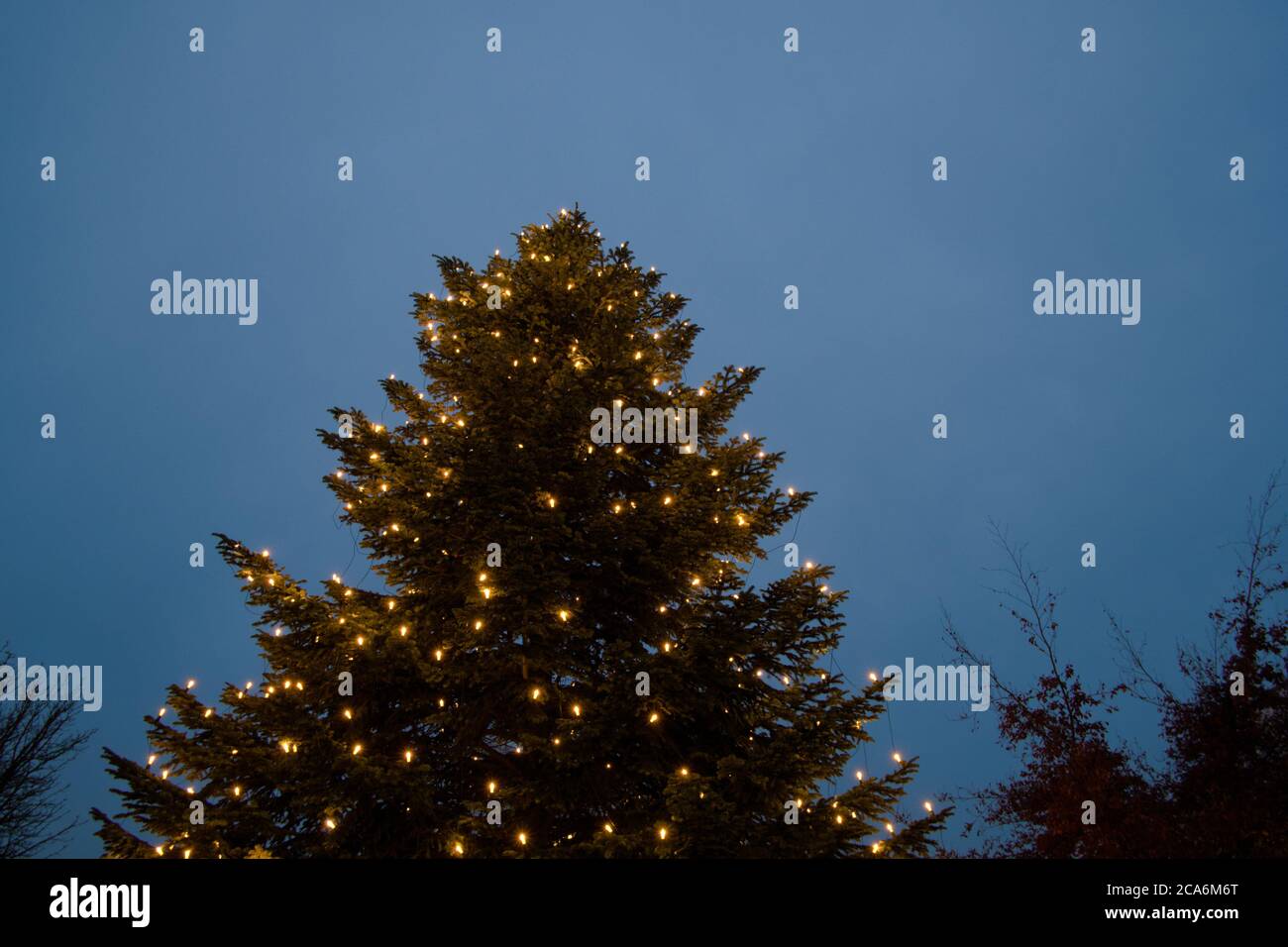 Austero árbol de Navidad decorado sólo con luces Foto de stock