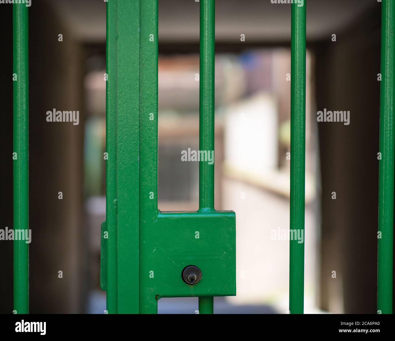 antigua puerta de hierro verde con barras cilíndricas en la entrada secundaria de un edificio Foto de stock