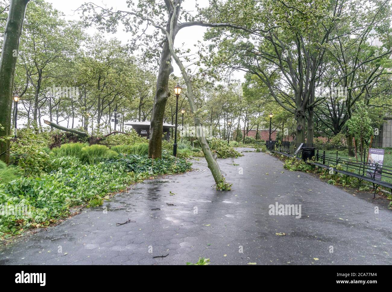 Nueva York, Estados Unidos. 04 de agosto de 2020. La tormenta tropical Isaias arrasa la ciudad de Nueva York como se vio en Manhattan Nueva York el 4 de agosto de 2020. Muchos árboles fueron derribados o desarraigados. (Foto de Lev Radin/Sipa USA) crédito: SIPA USA/Alamy Live News Foto de stock