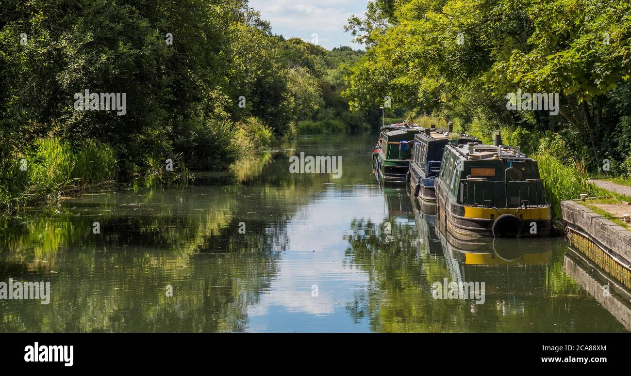 Hermoso paisaje tranquilo, Kennett y Avon Canal, Newbury, Berkshire, Inglaterra, Reino Unido, GB. Foto de stock
