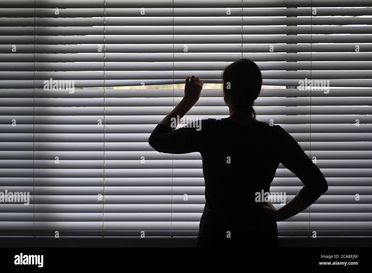 Mujer adulta sospechosa mirando fuera de la ventana de la casa desde detrás de las cortinas venecianas. Foto conceptual de la persona que tiene Pistanthrofobia y Agorafobia, Foto de stock