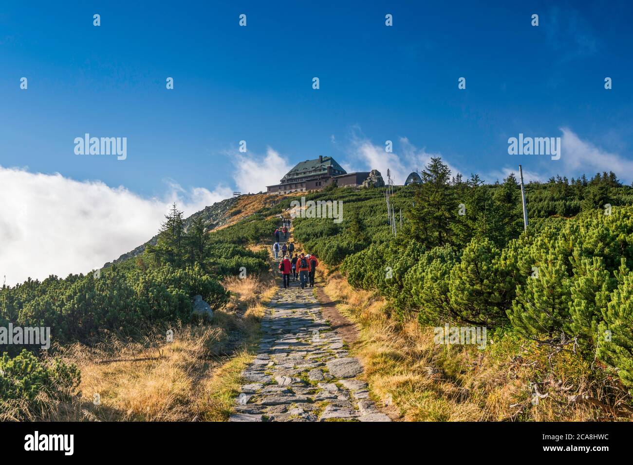 Los excursionistas en el camino de adoquines en la línea de la madera, a la cabaña de montaña en Szrenica, en la sierra de Karkonosze, las montañas de Sudetes, el Parque Nacional de Karkonosze, Polonia Foto de stock