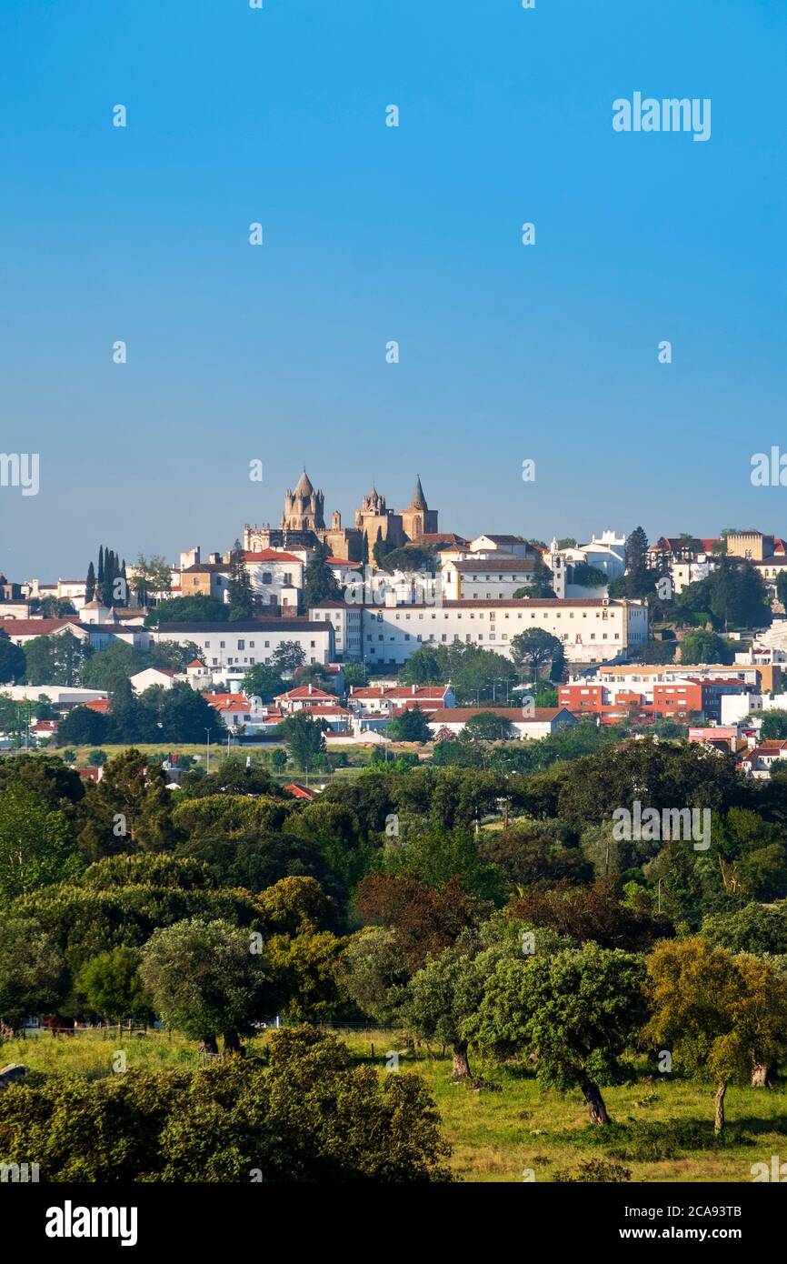 Vista de la ciudad medieval y capital de la región a través del bosque de alcornoques, Évora, Alentejo, Portugal, Europa Foto de stock