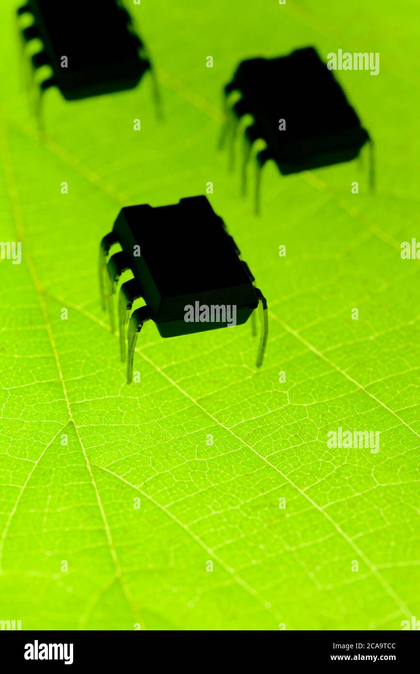 Insectos robóticos en hoja verde radiactiva Foto de stock