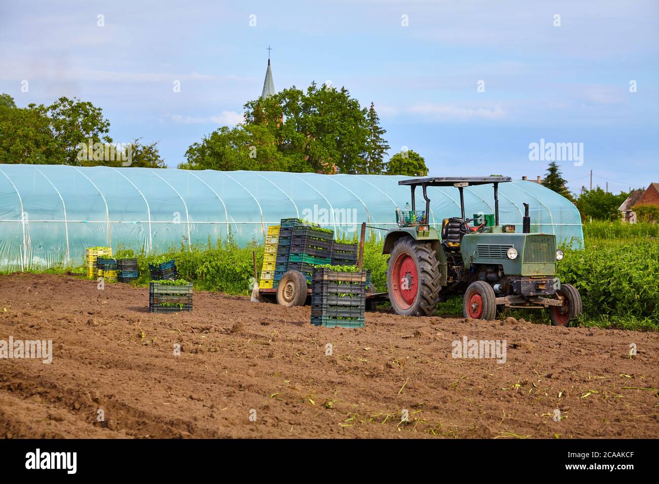 Viejo tractor en un campo con plántulas en cajas y invernadero en el fondo. Foto de stock