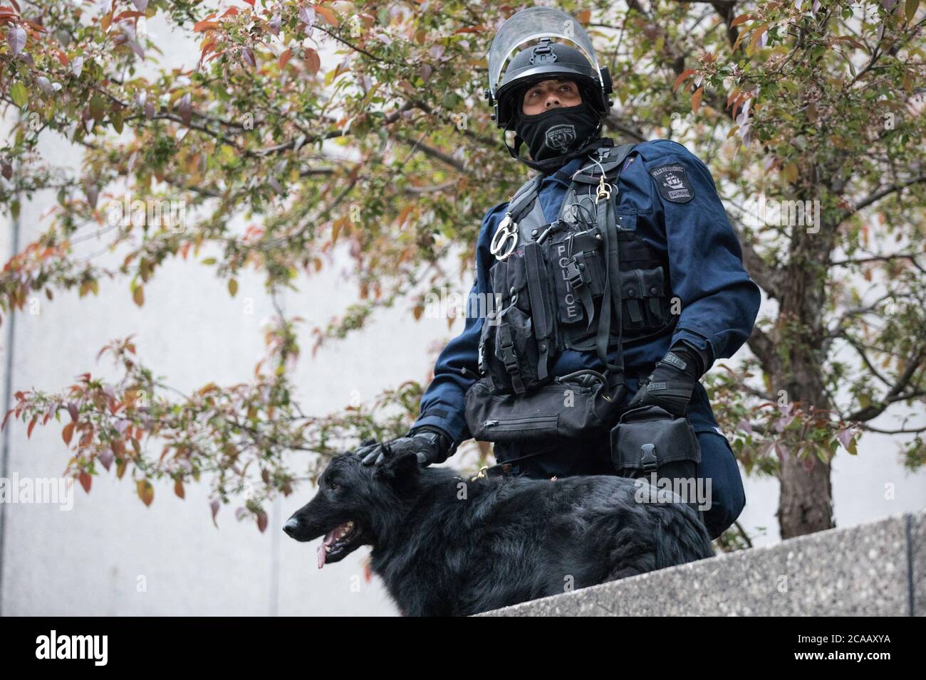 Policía con perro k9. Foto de stock