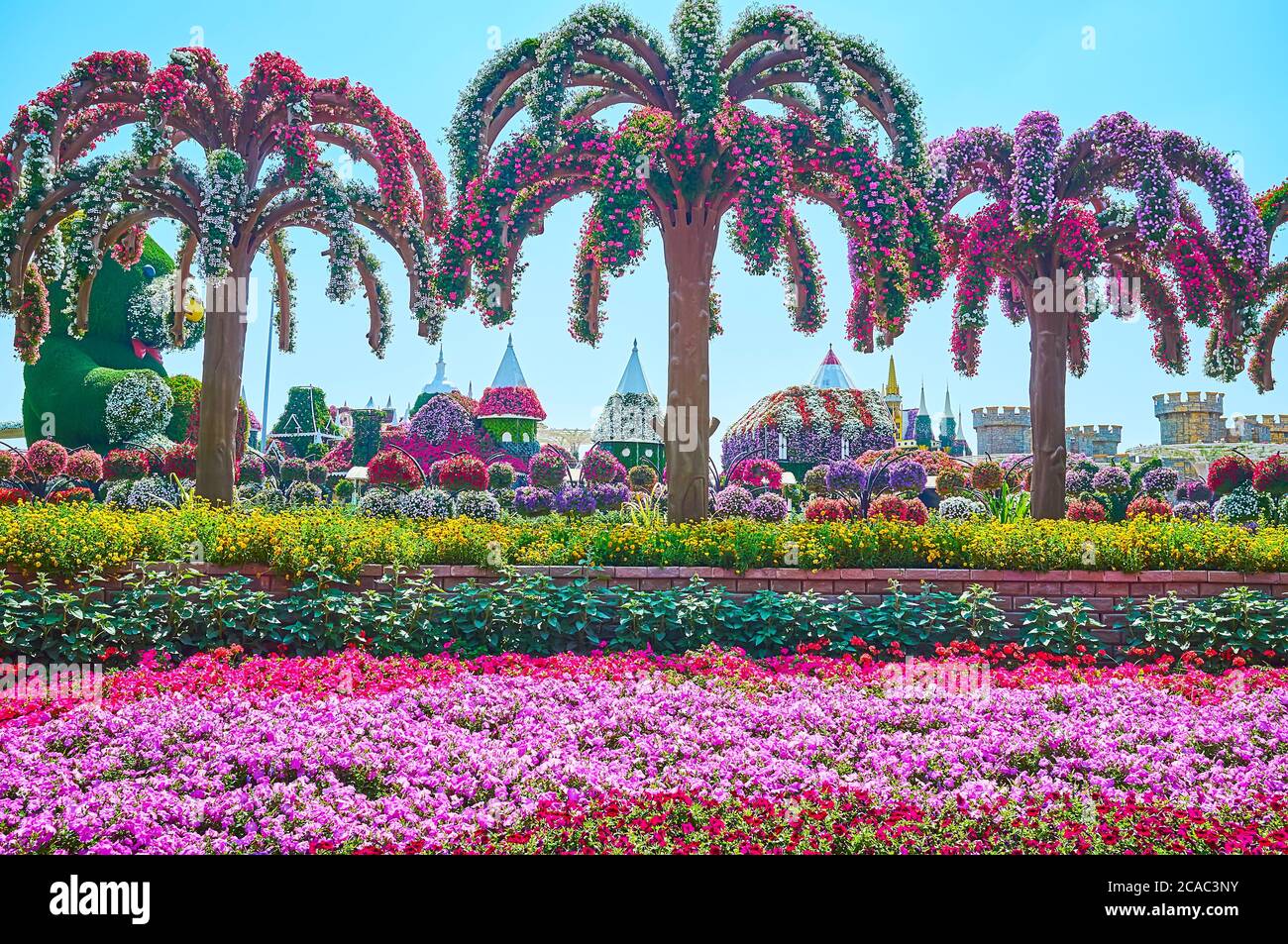 DUBAI, EAU - 5 DE MARZO de 2020: Ajardinar el jardín del milagro con petunia y camas de flores marineras, palmeras, cubiertas de flores vivas, castillo de hadas Foto de stock