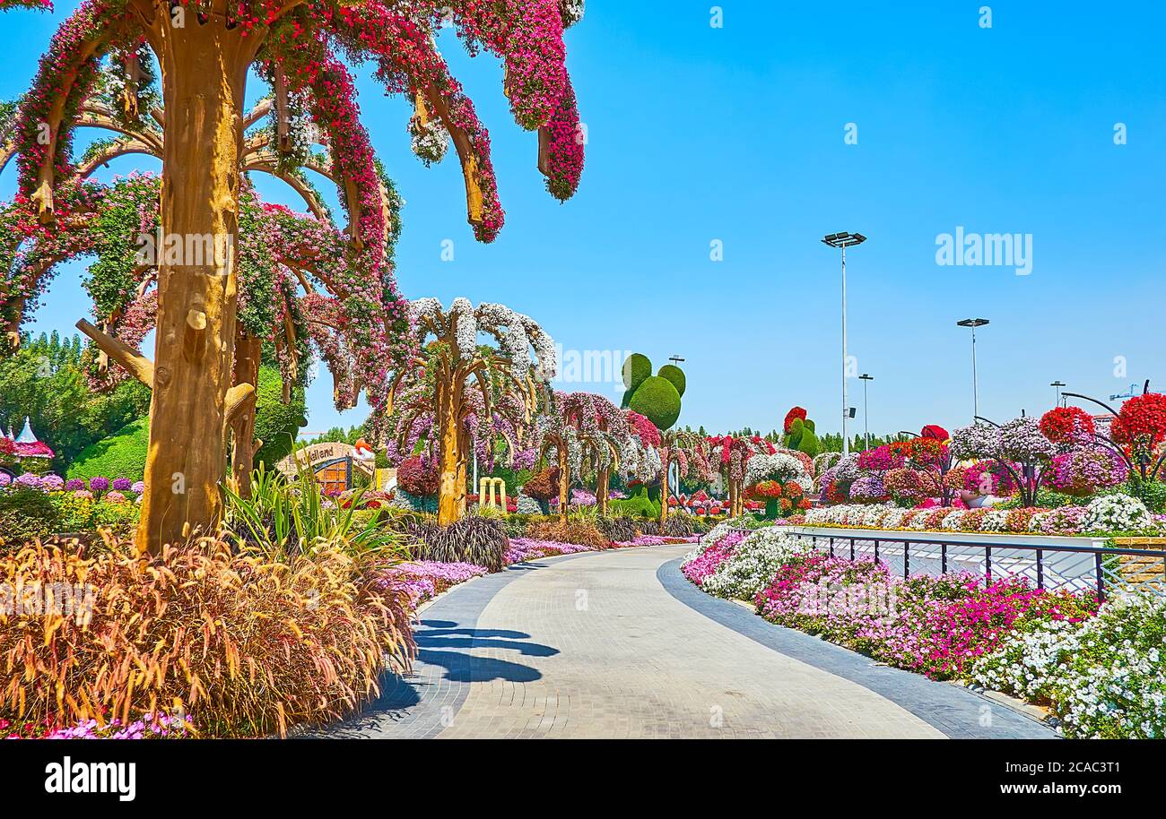 DUBAI, EAU - 5 DE MARZO de 2020: Camine por el callejón curvo y disfrute del paisaje del jardín de Milagros con petunia y camas de flores de mármol, palmeras, cubierta Foto de stock