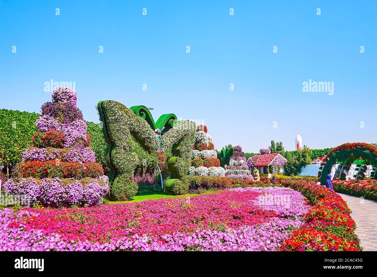 DUBAI, EAU - 5 DE MARZO de 2020: El lecho de flores de color rosa brillante de las petunias está decorado con la instalación de mariposas y stand con plantas en macetas, Miracle Gar Foto de stock