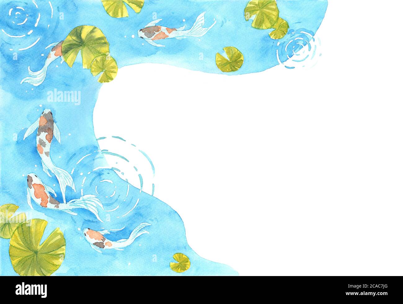 Marco de hermoso color brillante Koi Carp peces en un estanque. Acuarela  mano para decoración en papel tapiz, portada, plantilla, postal Fotografía  de stock - Alamy