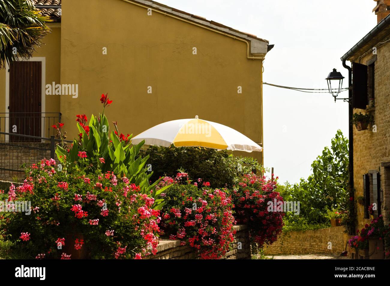 Una sombrilla blanca y amarilla en el jardín con plantas y flores de una  casa antigua en un pueblo italiano (Pesaro, Italia, Europa Fotografía de  stock - Alamy