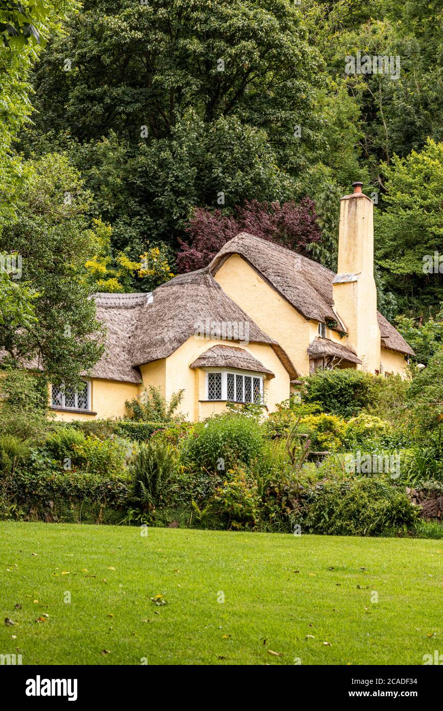 Parque Nacional Exmoor - una típica casa de campo de paja en el pueblo de Selworthy, Somerset Reino Unido Foto de stock