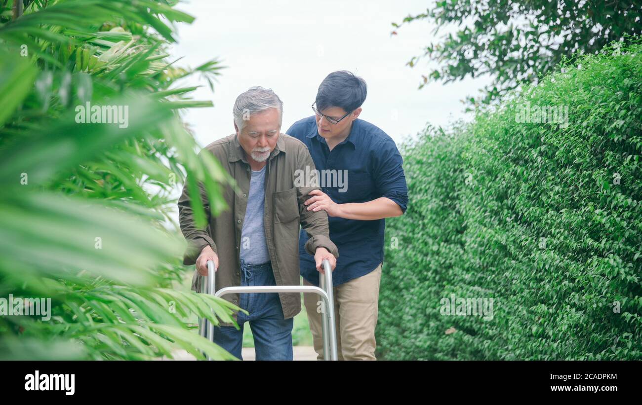 Hijo ayudando a cuidador padre viejo con caminar en camino en el jardín de casa para relajarse o rehabilitación fisioterapia Foto de stock
