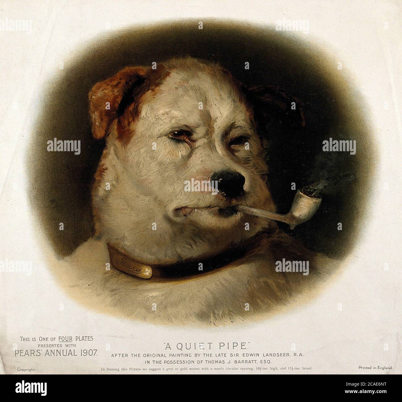 Perro fumando fotografías e imágenes de alta resolución - Alamy
