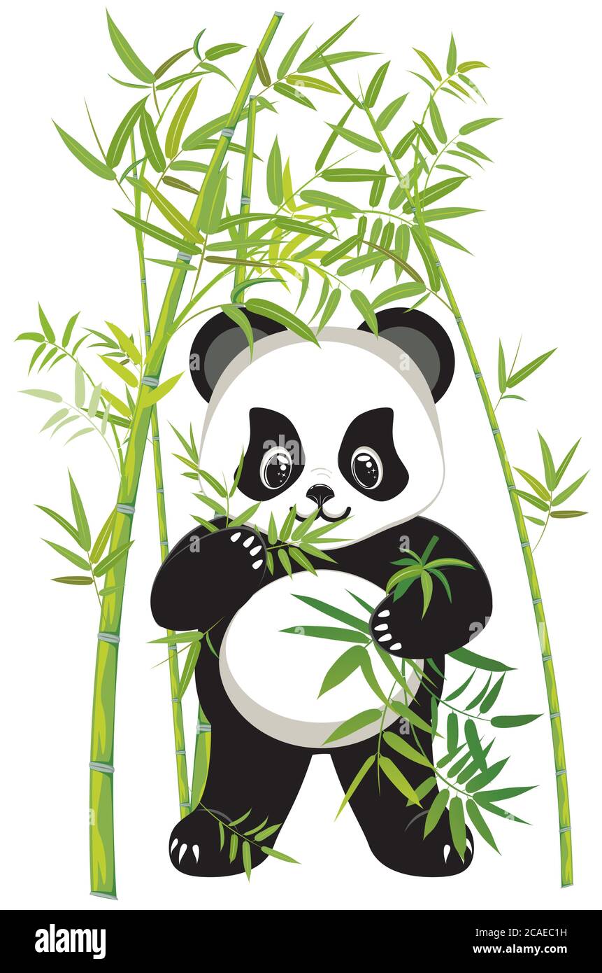 Lindo oso panda con dibujos animados con diseño de bambú verde Imagen  Vector de stock - Alamy