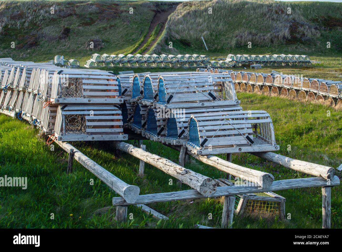 Trampas de langosta transportadas para la temporada, Mainland, Newfoundland y Labrador NL, Canadá Foto de stock