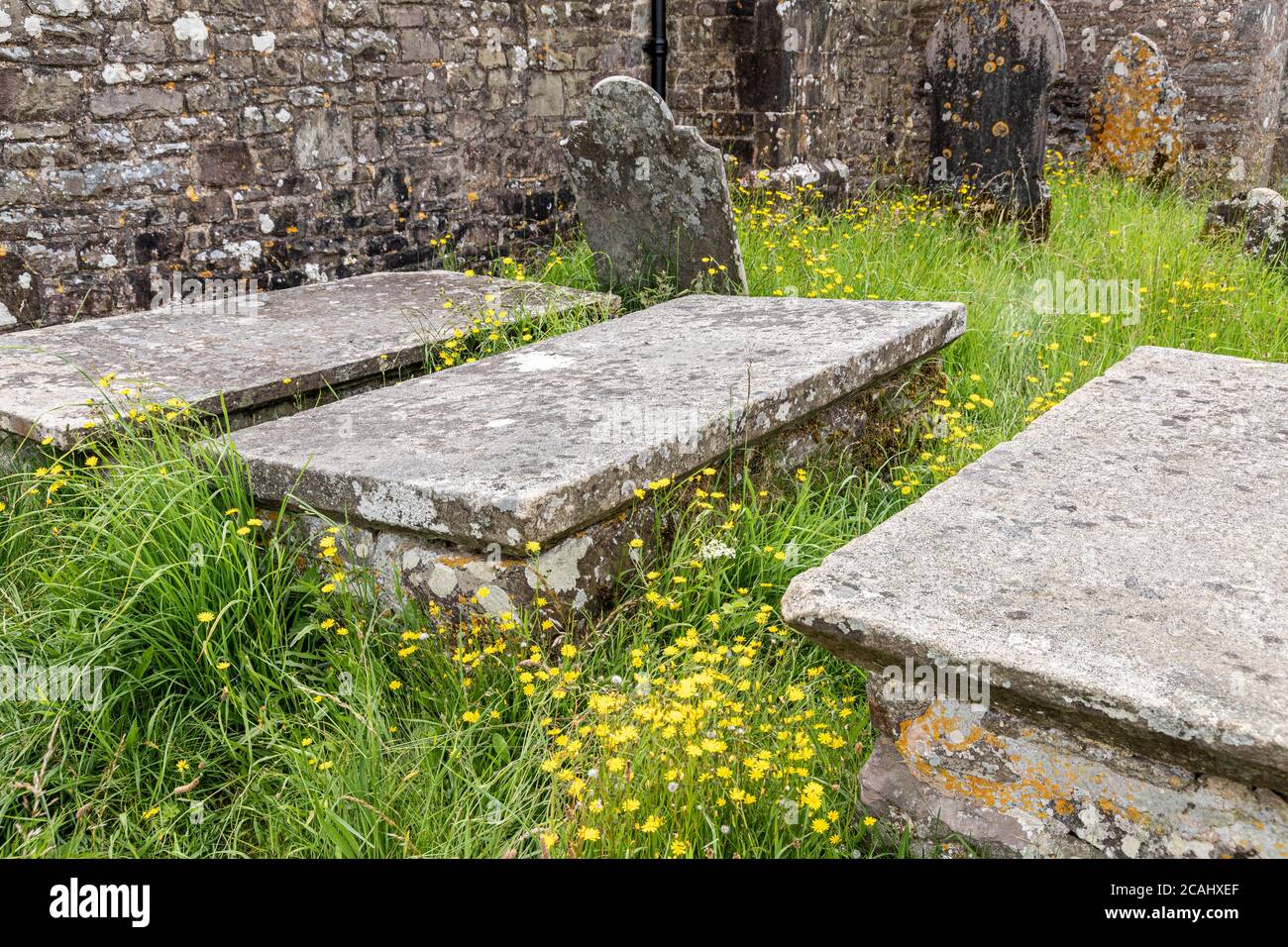 Parque Nacional Exmoor - Tumbas y lápidas en el cementerio de la iglesia Stoke pero, Somerset, Reino Unido Foto de stock