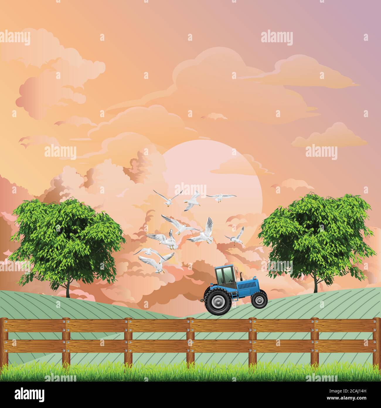 Pintoresca escena rural con tractor trabajando en una granja con gaviotas volando cerca del vehículo contra un amanecer o el cielo al atardecer Ilustración del Vector