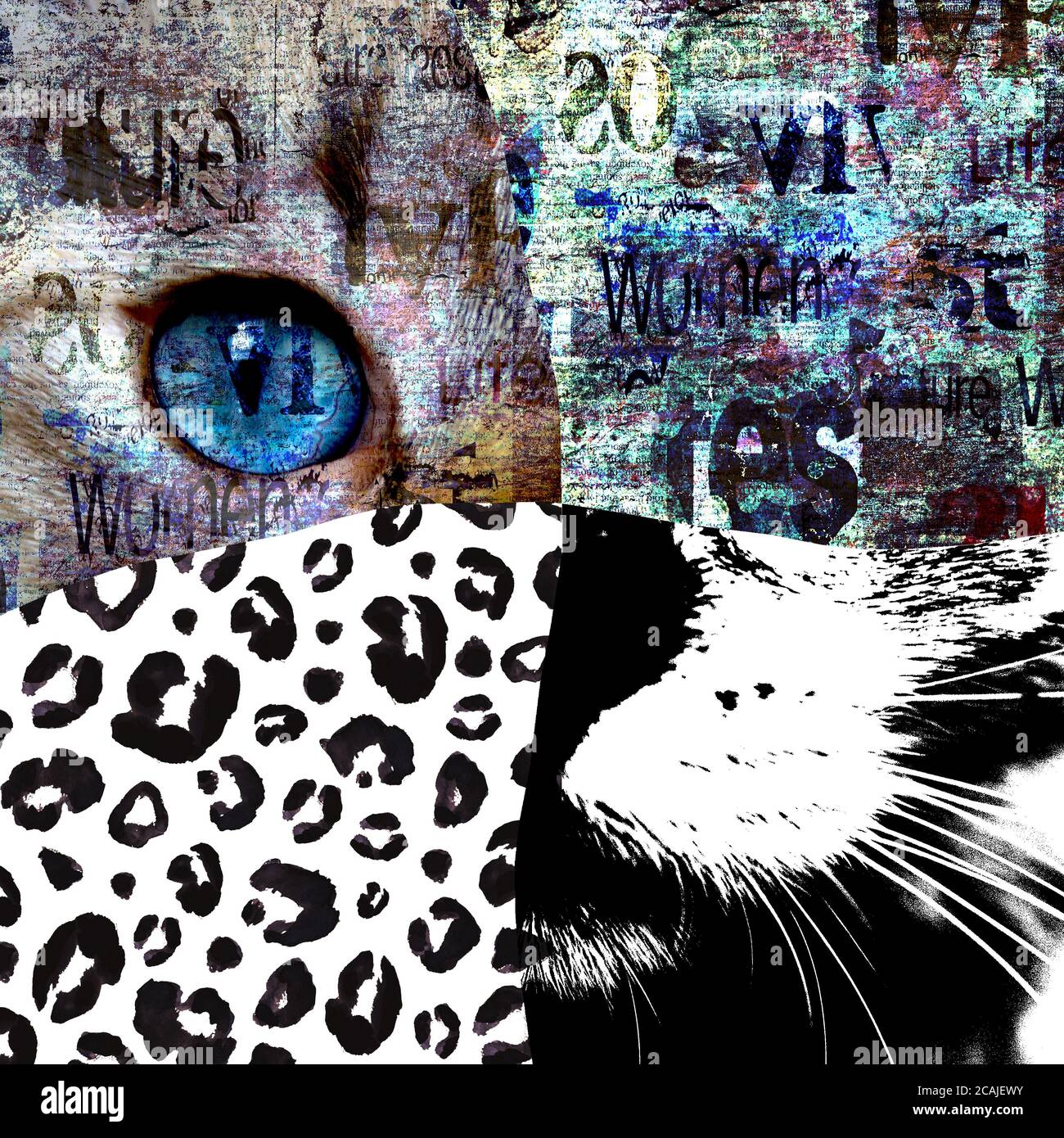 Collage de arte de medios mixtos. Vista de cerca del gato con ojos verdes.  Retrato cortado en blanco y negro estampado de leopardo pintado a mano y  papel de periódico imprimir te
