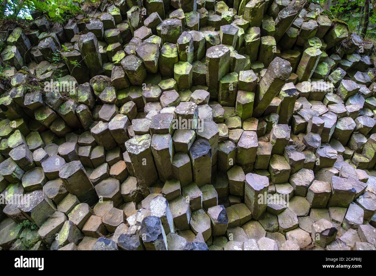 Alemania, Rhön-Montañas. En Gangolgsberg-sitio las columnas basalto aparecen como una pared horizontal Foto de stock