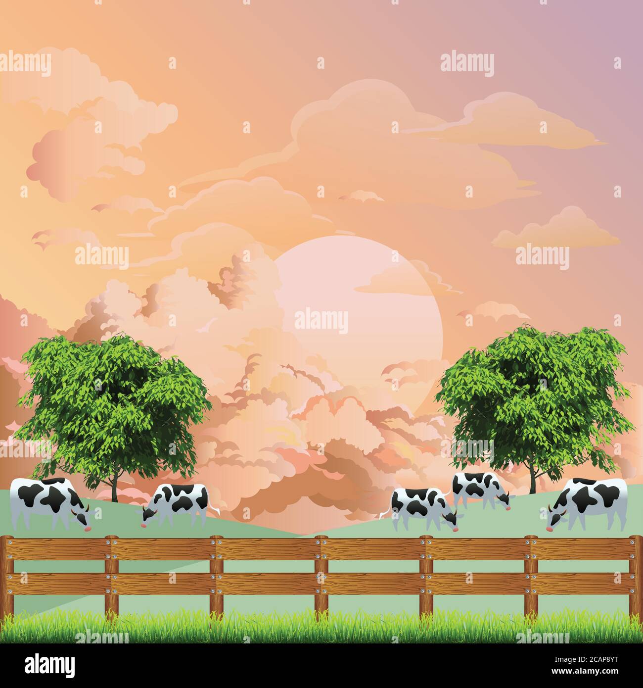 Pintoresca escena rural con una manada de vacas pastando en el campo de pasto contra un amanecer o cielo al atardecer Ilustración del Vector